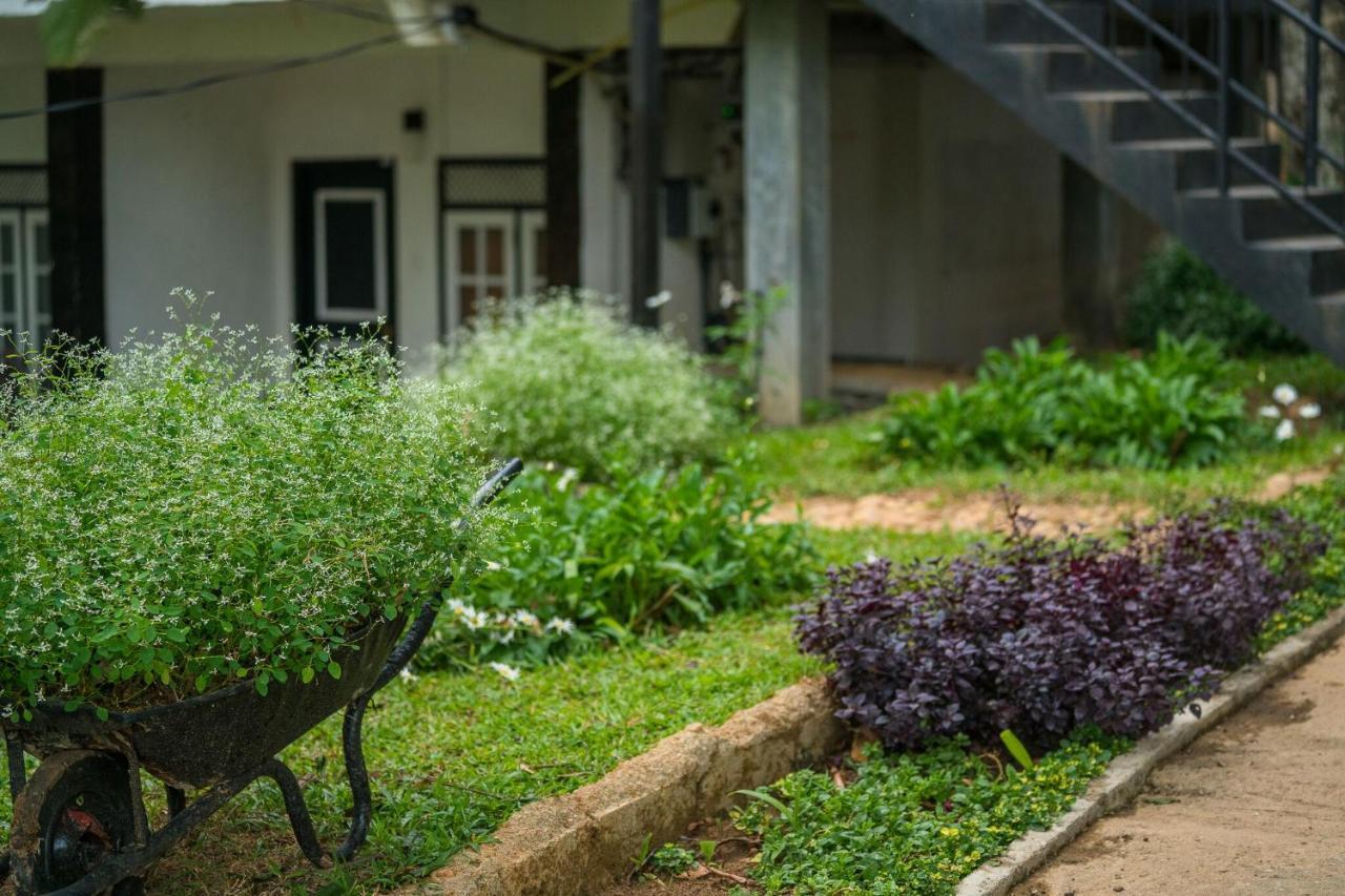 Ella Forest Paradise Hotel Buitenkant foto
